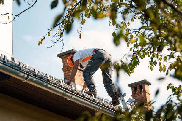 Best Flat Roof Repair Services  in Magnolia, OH
