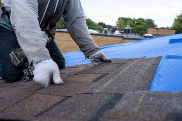 Best Roof Gutter Cleaning  in Magnolia, OH