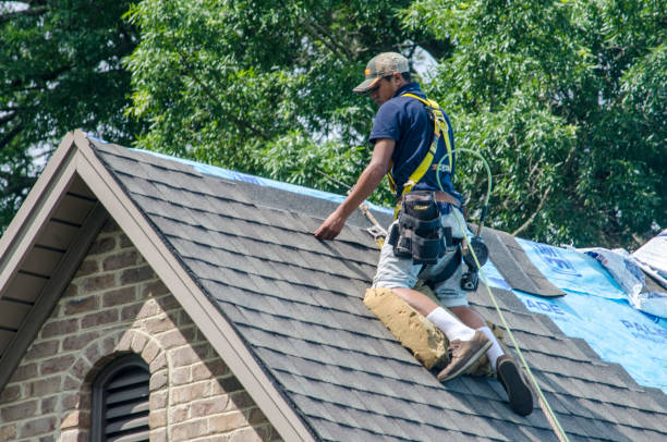 Best Flat Roof Repair Services  in Magnolia, OH